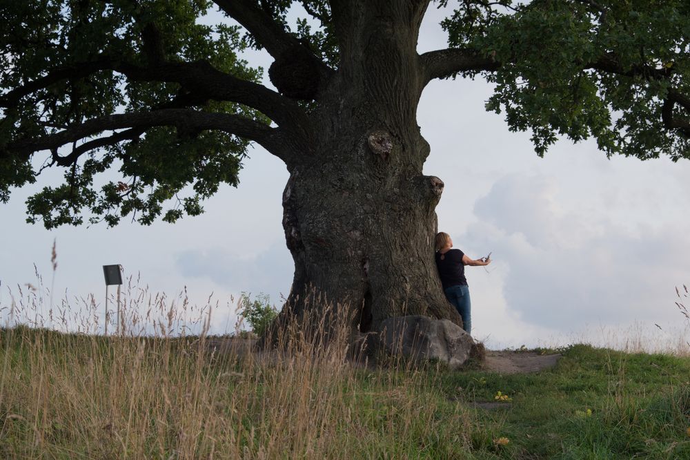 300 лет жизни.