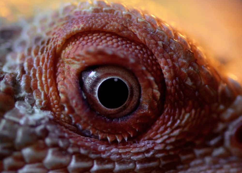 Photograph by Анастасия Третьякова