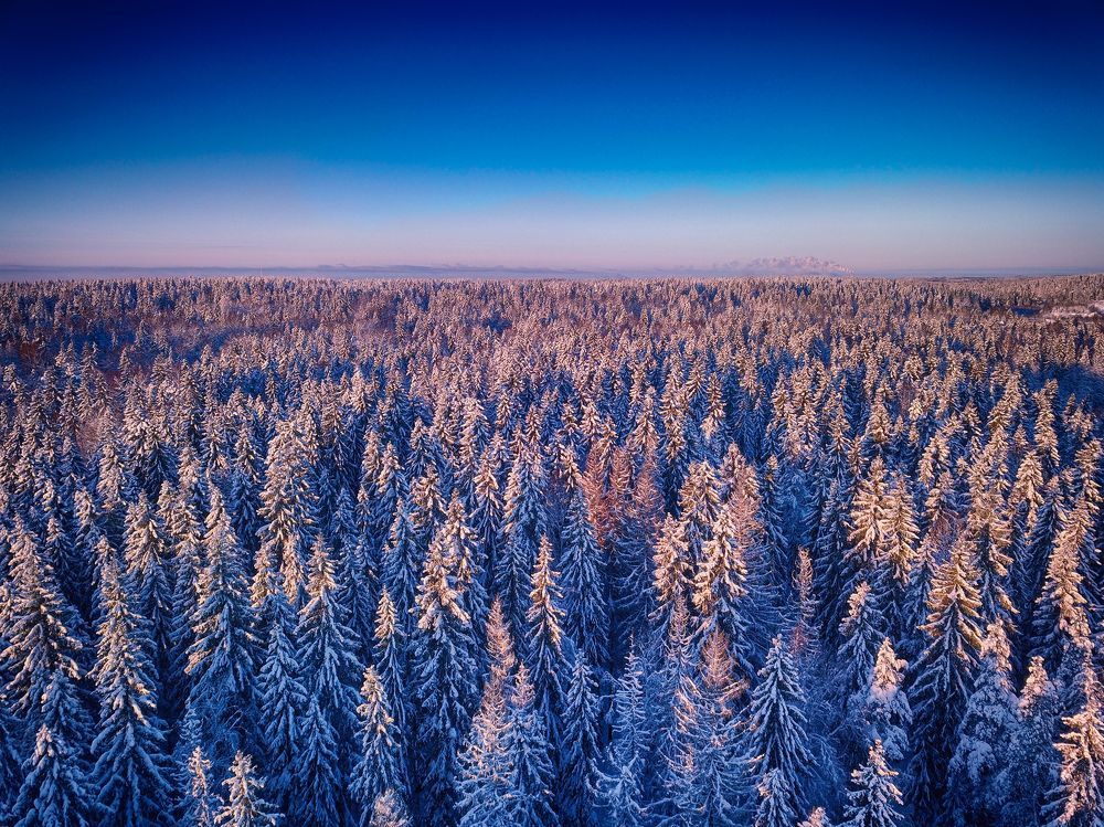 Photograph by Павел Жданов