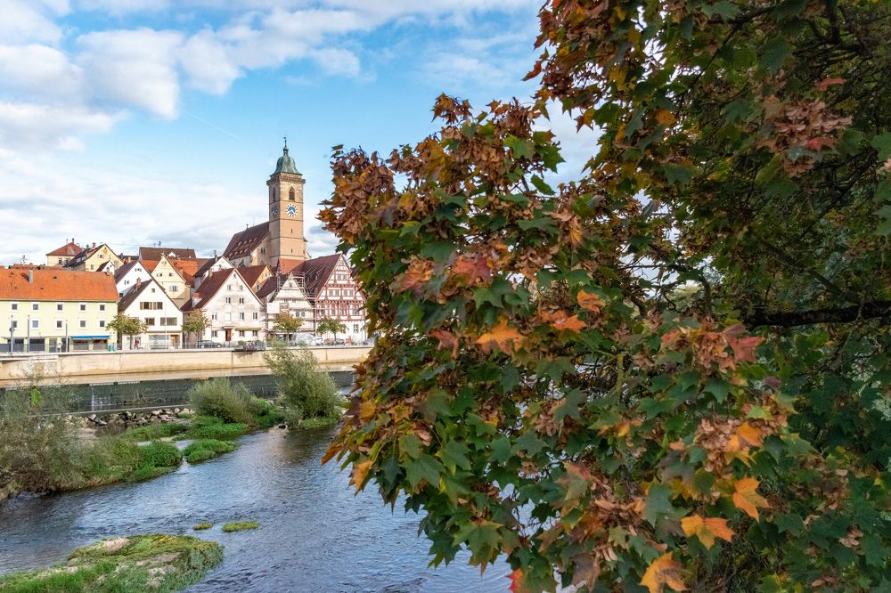 Photograph by Людмила Комарова