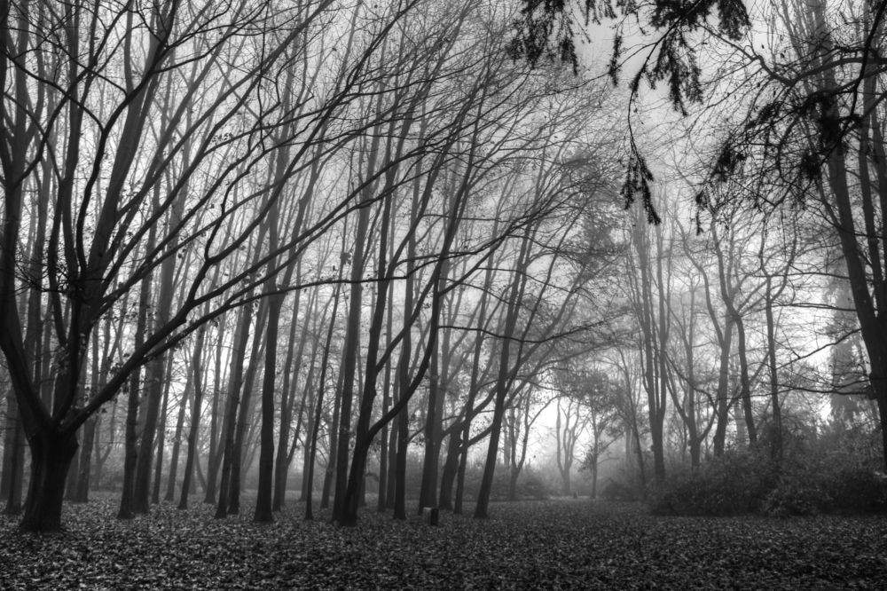 Photograph by Anna Banasiak