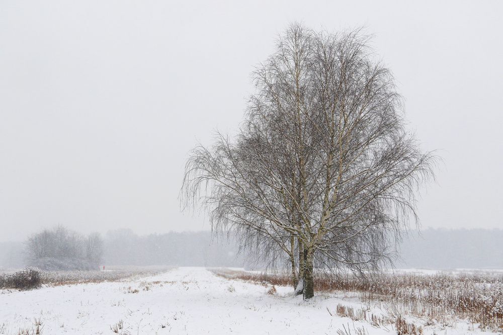 Photograph by Anna Banasiak