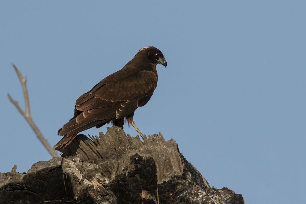 Photograph by Наталья Бондарева