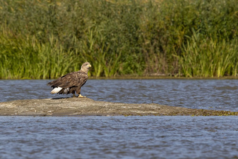 Photograph by Наталья Бондарева