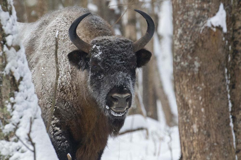 Photograph by Наталья Бондарева