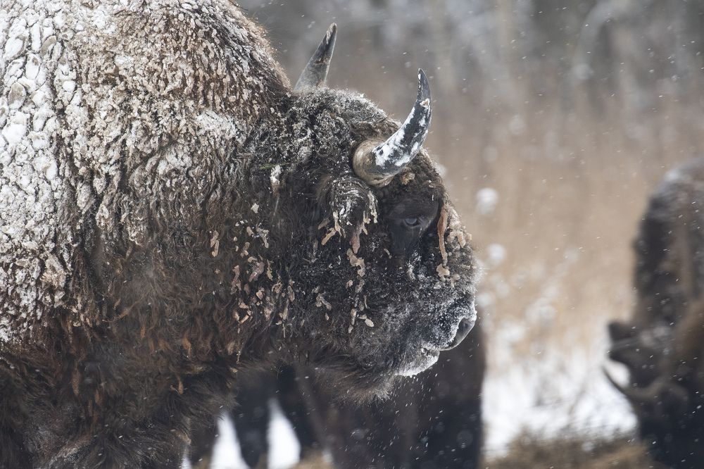 Photograph by Наталья Бондарева