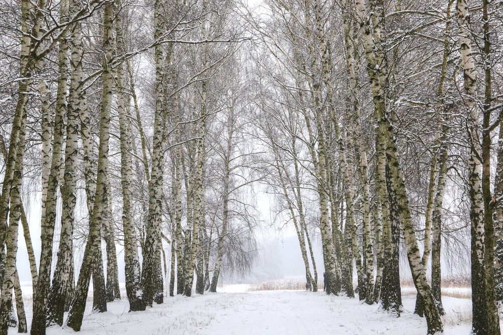 Photograph by Anna Banasiak