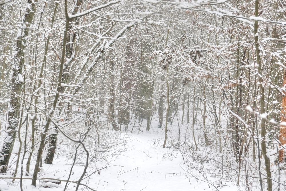 Photograph by Anna Banasiak