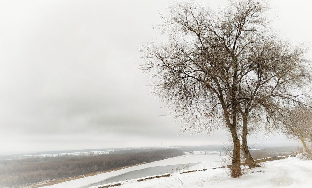 Photograph by Надежда Виденина