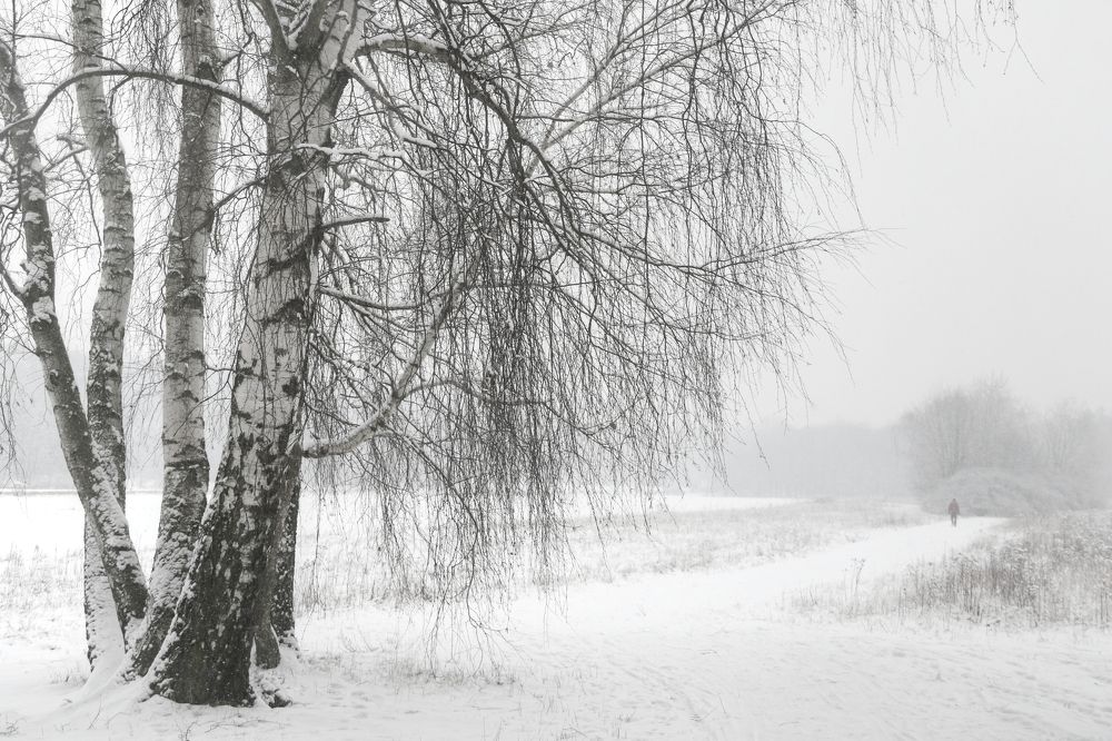 Photograph by Anna Banasiak