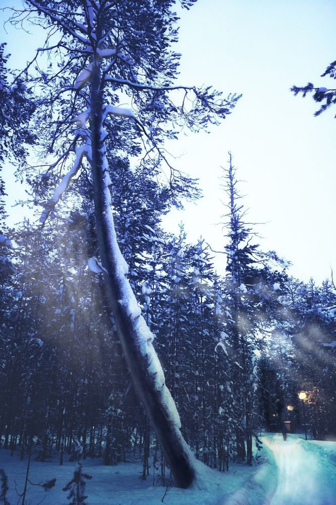 Photograph by Ирина Степанова