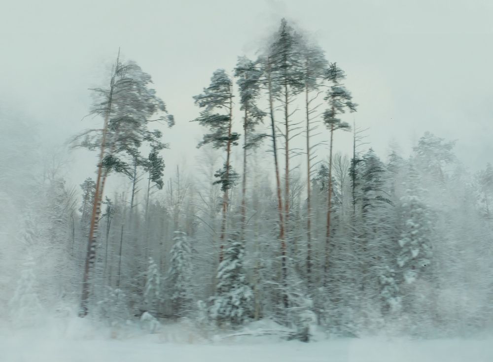 Photograph by Ирина Степанова