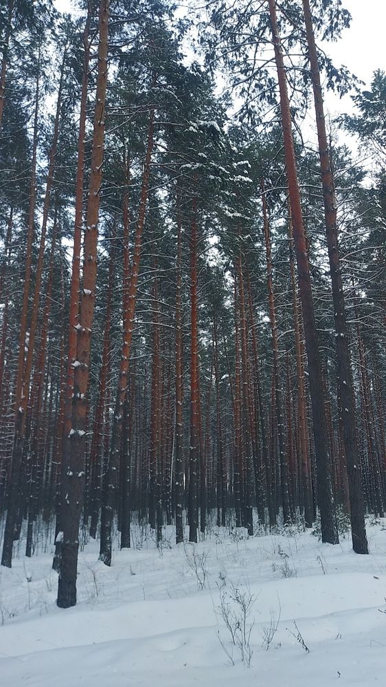 Photograph by Инна Голубева