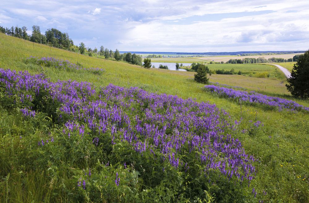 Фотография автора Рамиль Фаттахов