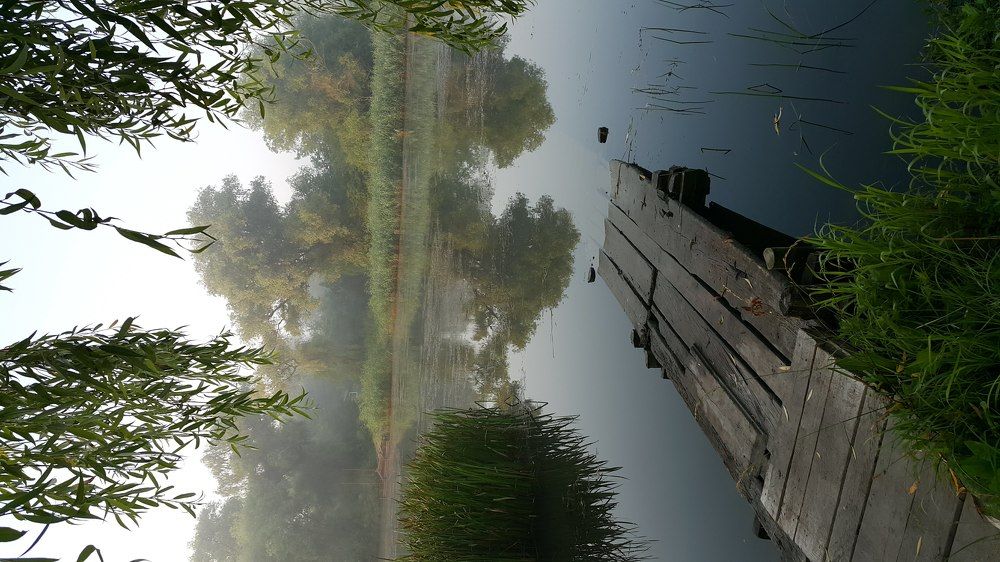 Photo #5677410