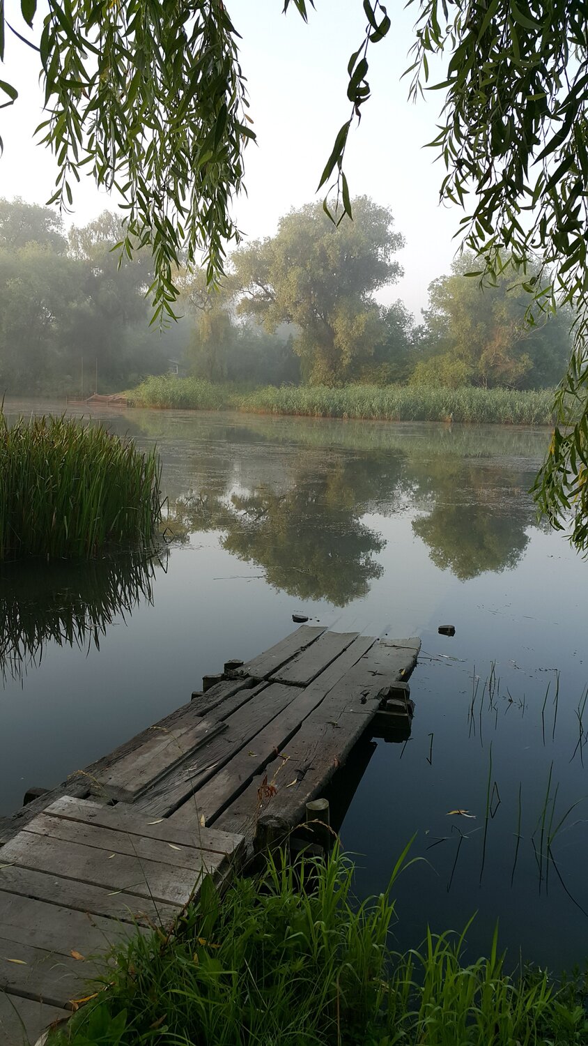Photo #5677410