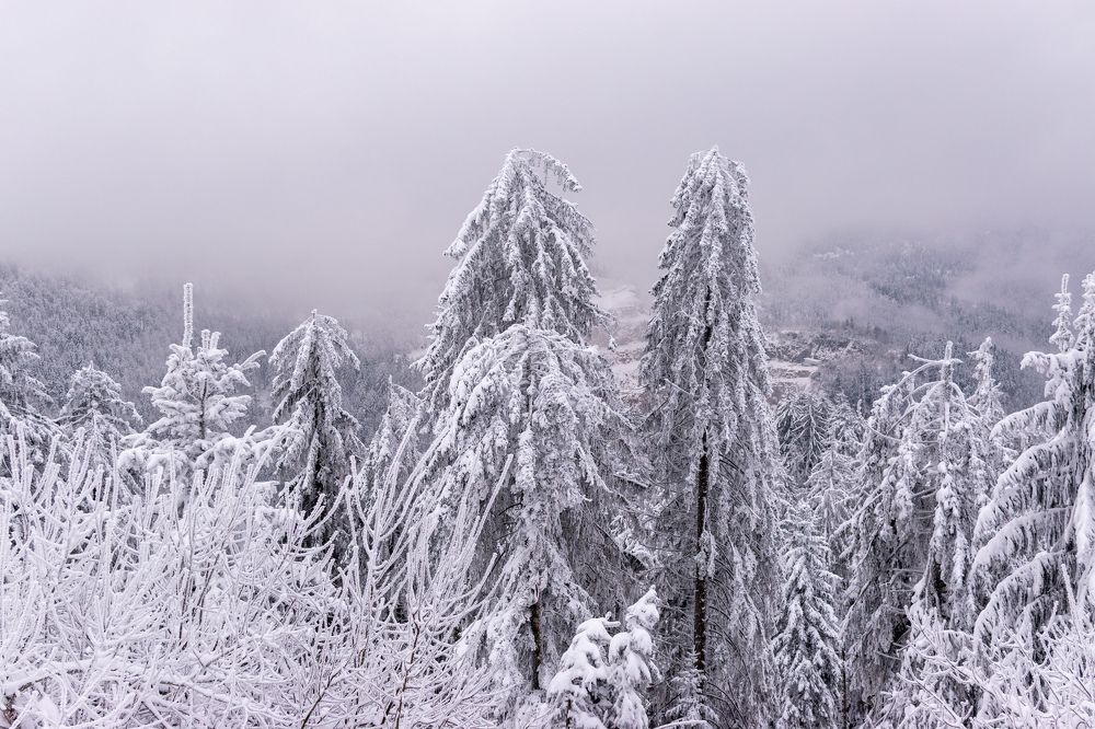 Photograph by Людмила Комарова