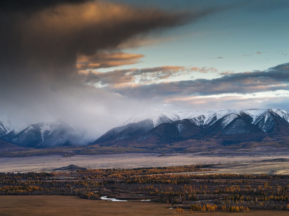 А как тебе такое, Илон Маск?