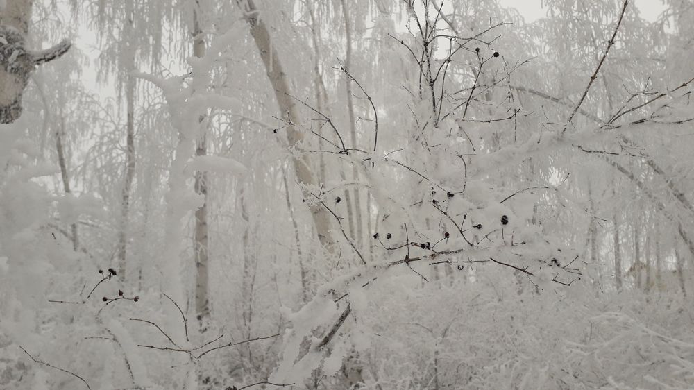 Photograph by Viktoriia