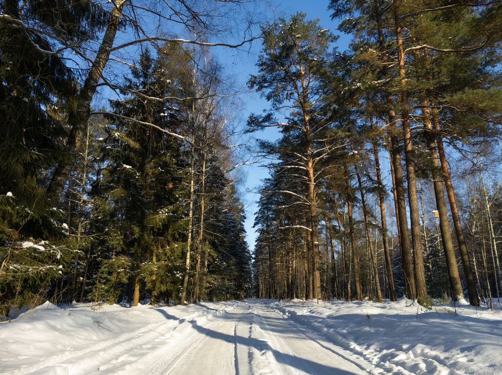 Photo #5677472