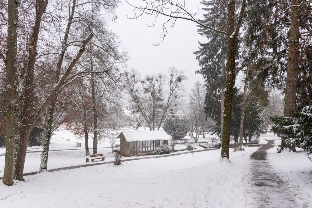 Photograph by Людмила Комарова