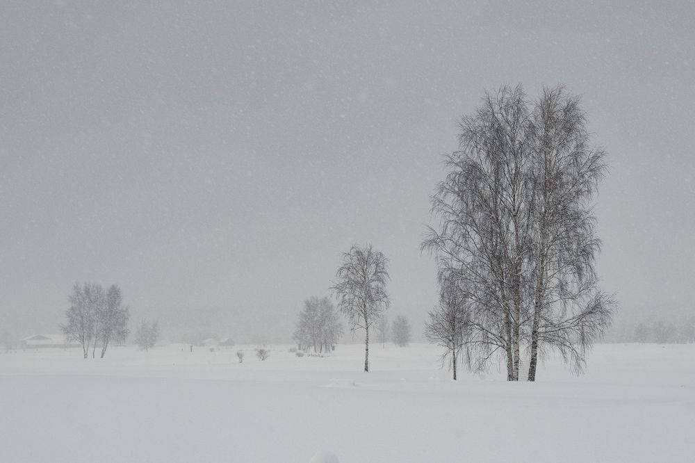 Photograph by Александр Клиновский