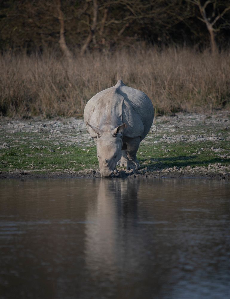 Photograph by Priyanka Das