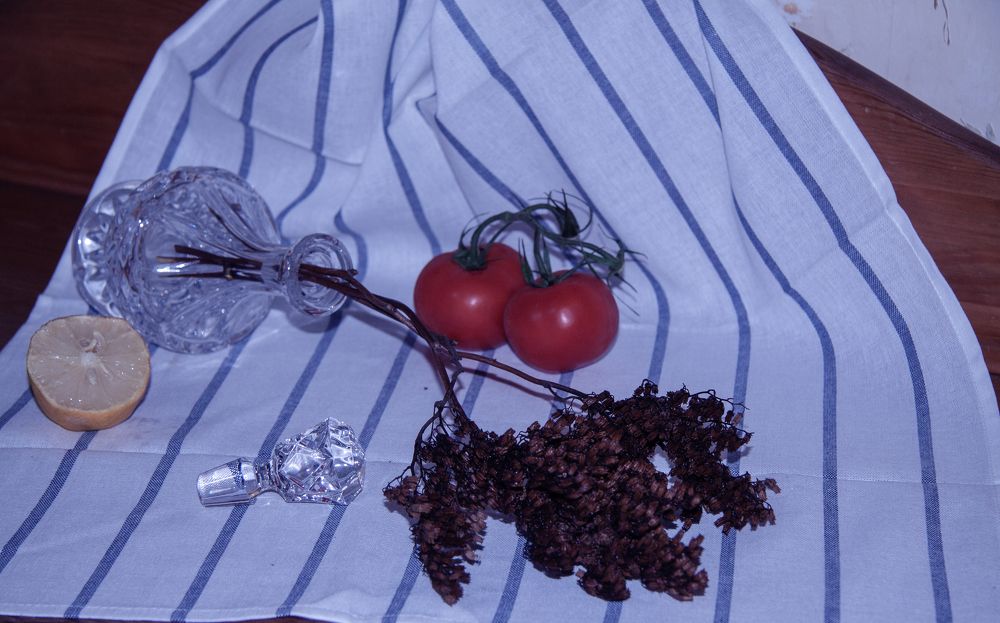 Photograph by Альбина Салихзяновна Бикчурина