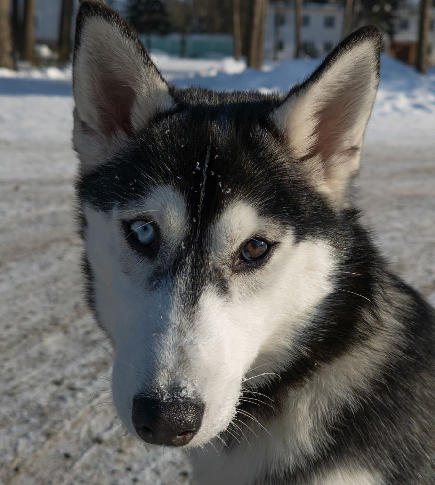 Photo #5677511