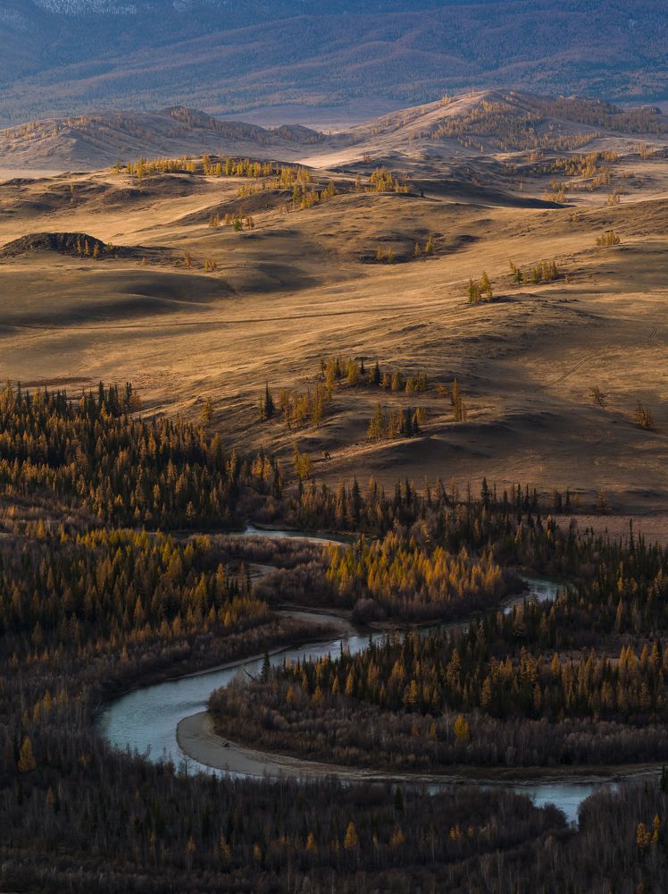 Золото Катуни (Gold of Katun river).