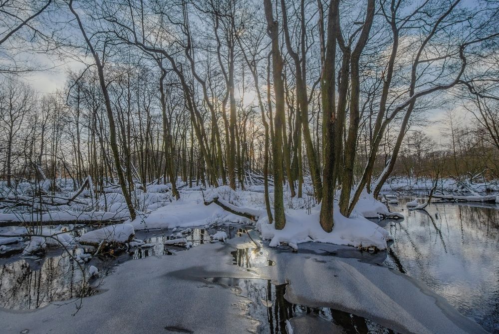 Утренний мороз .