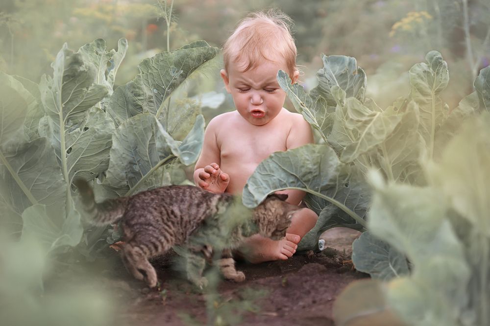 Photograph by Елена Юзифович