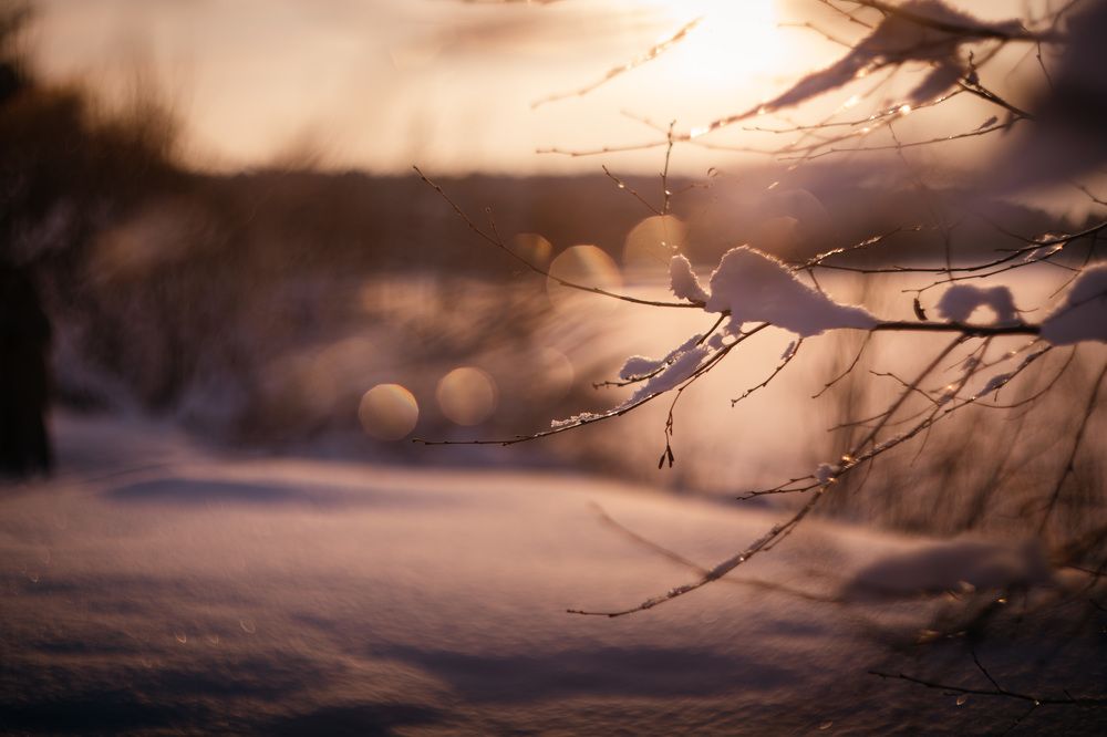 Photograph by Daria Klykova