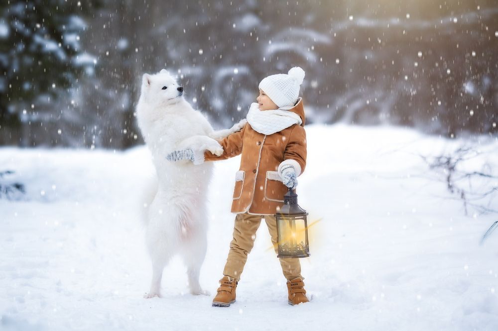 Photograph by Маргарита Черкасова