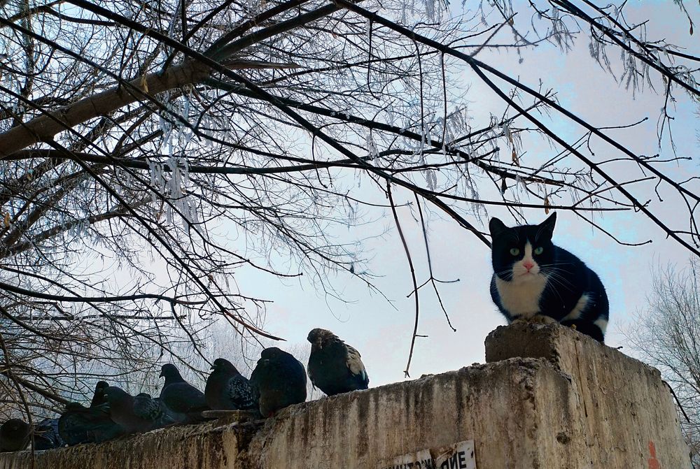 Photograph by Darya Dolinina