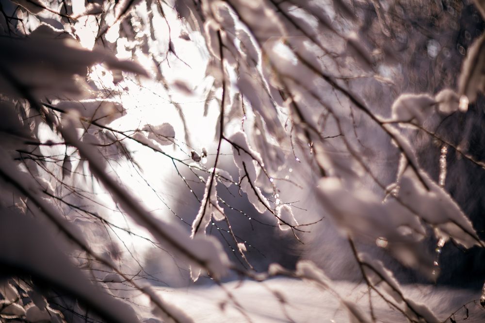 Photograph by Daria Klykova