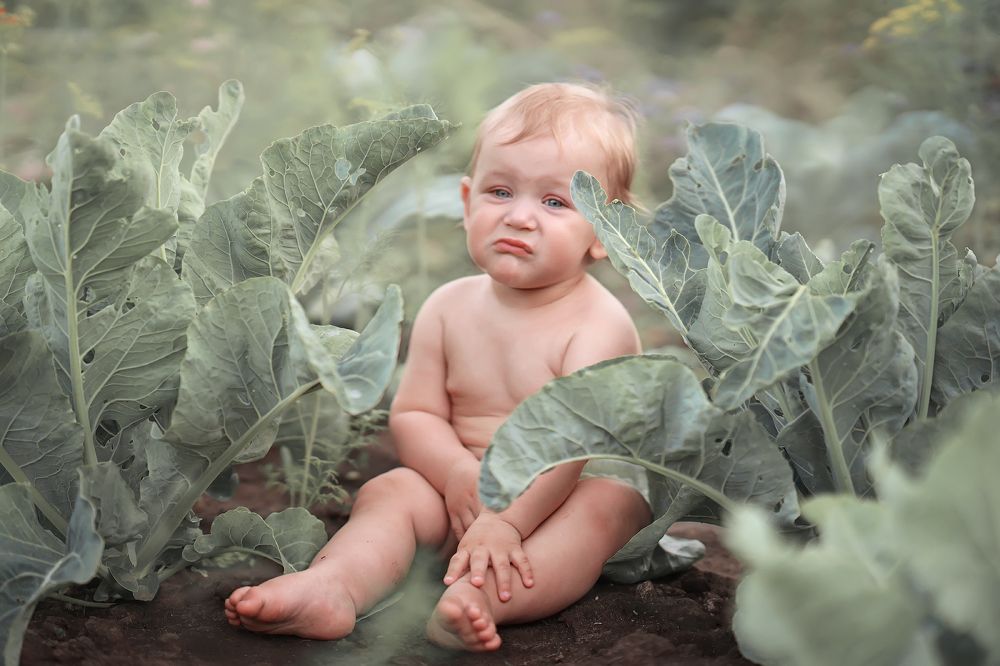 Photograph by Елена Юзифович