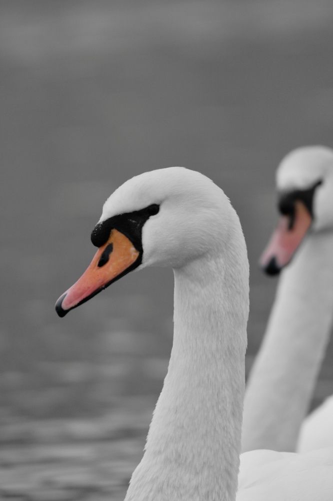 Photograph by Генa Панков