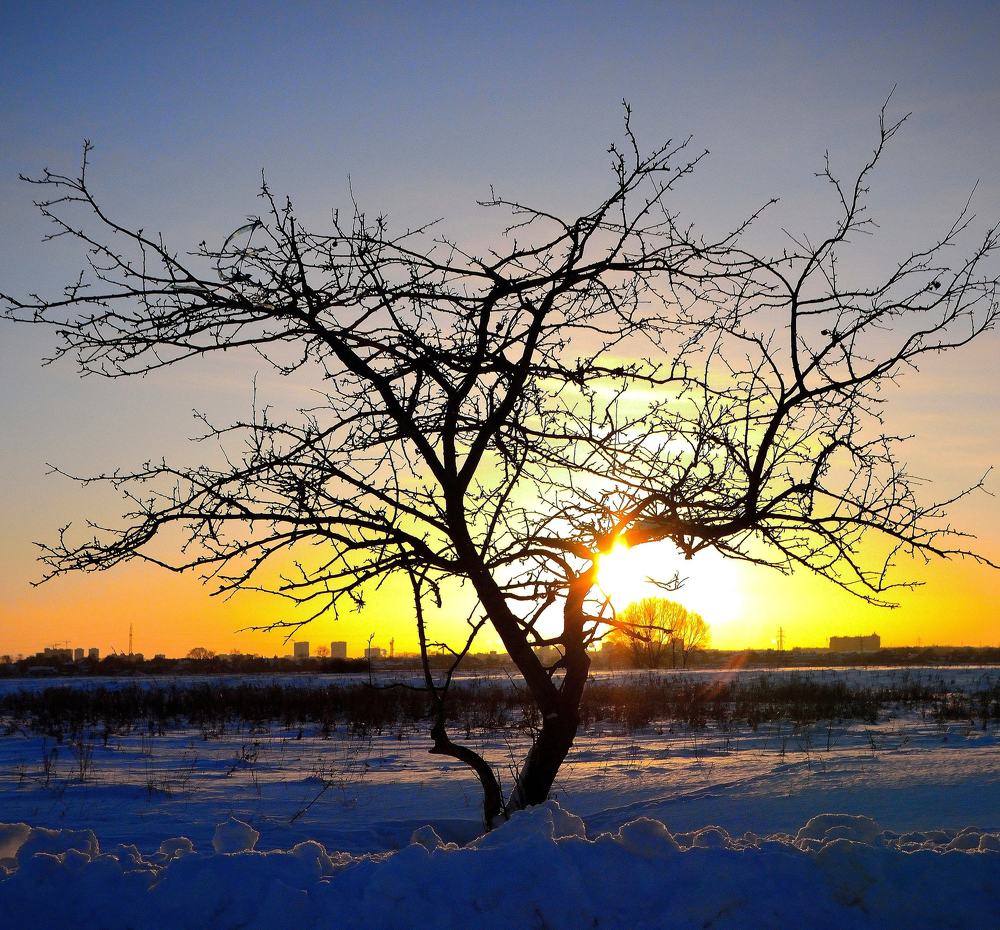 Photograph by Андрей Антипатров