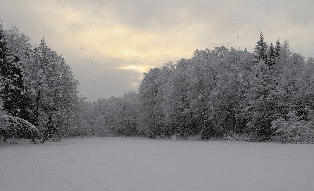 Photograph by Станислав