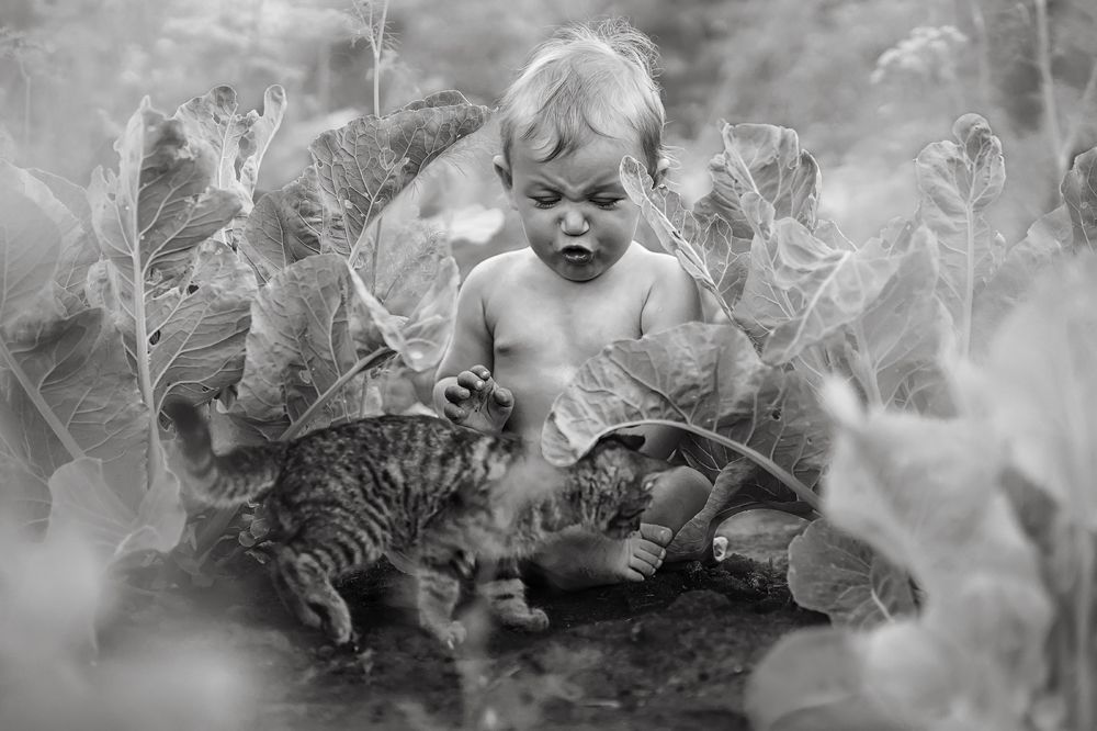 Photograph by Елена Юзифович