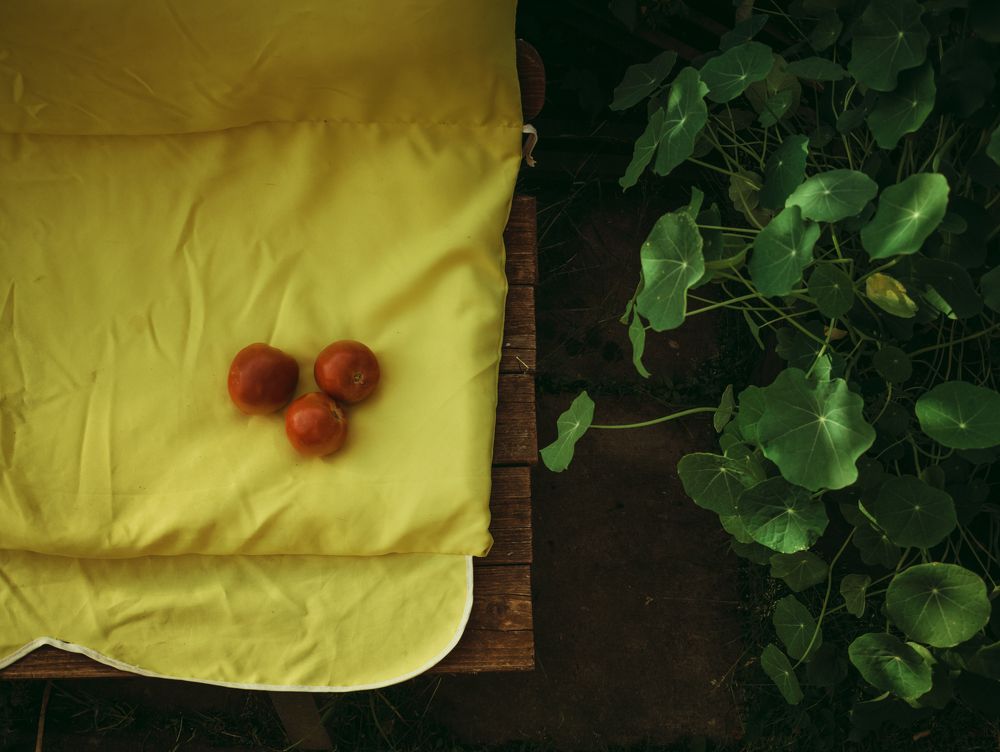 Photograph by Валерия Куранова