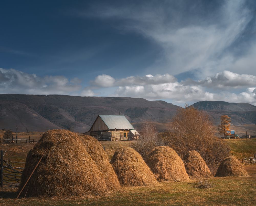 Курай. Скоро зима