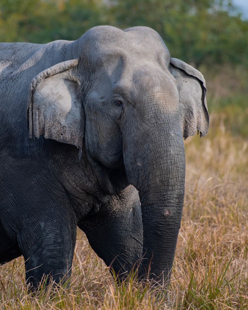 Photograph by Priyanka Das