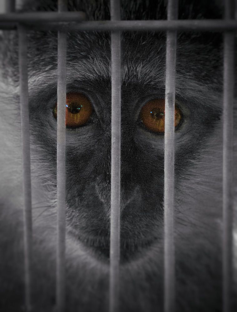 Photograph by Eimy Eldeeb