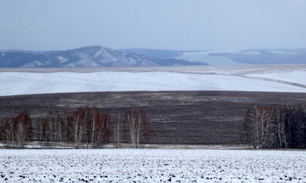 Photograph by Жанна Валиева