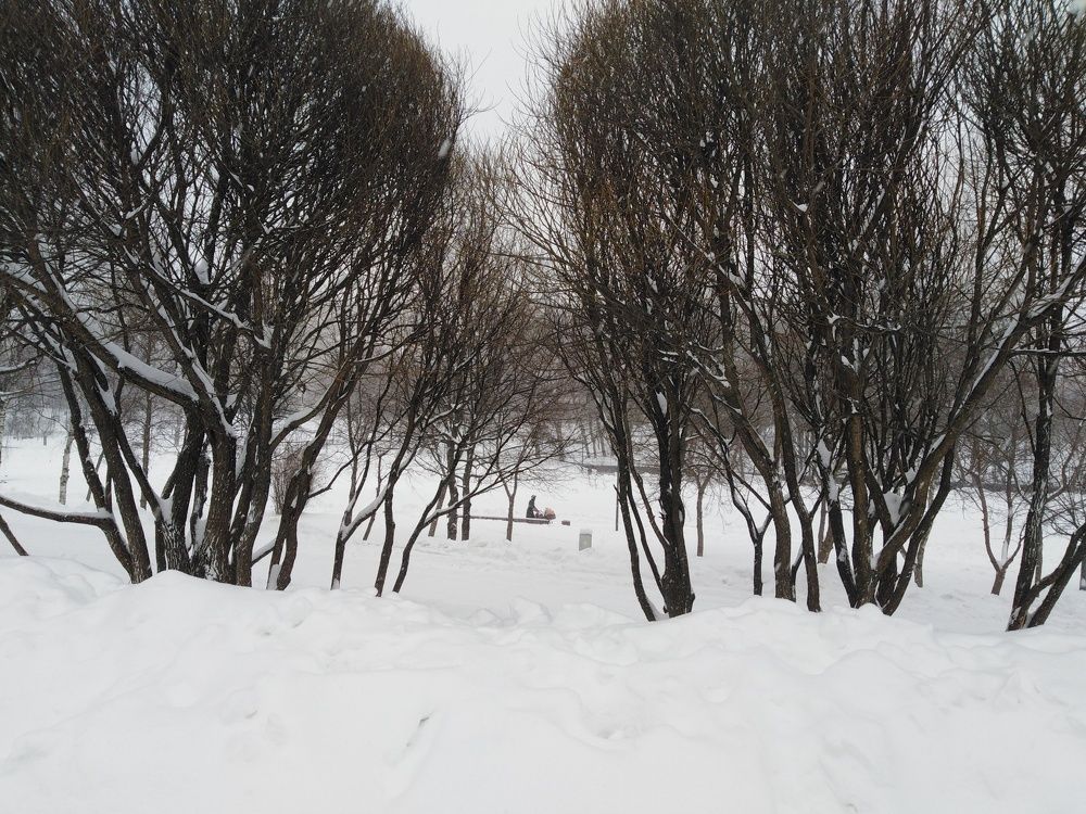 Зимнее гуляние в мороз.