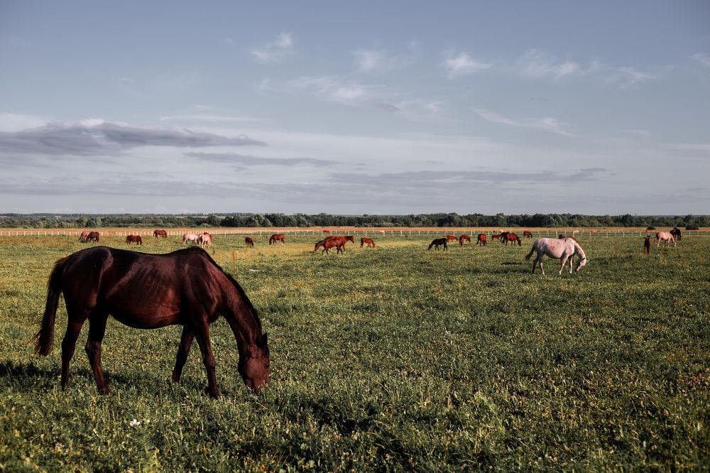 Photograph by Альбина Закирова