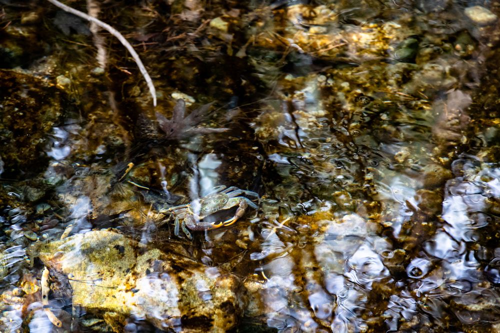 Photograph by Giannis Ioannidis