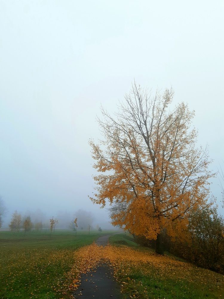 Photo #5677997